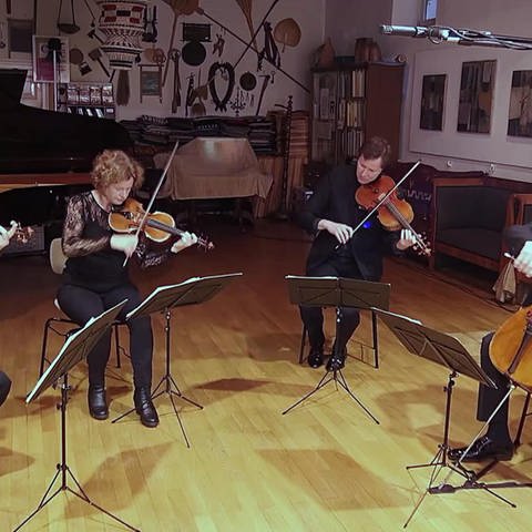 Die vier Musiker des Mandelring-Quartetts