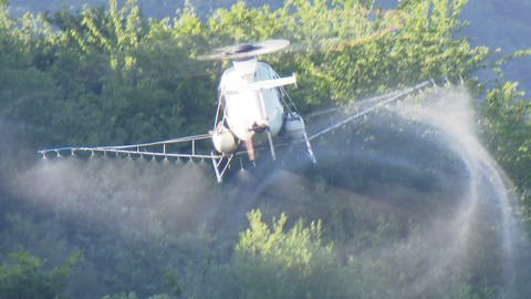 Spritzmittel werden mit einem Hubschrauber verteilt (Foto: SWR)
