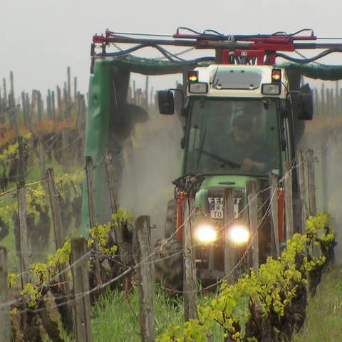 Traktor versprüht Pestizid im Weinbau (Foto: SWR)