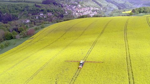 Großflächiger Pestizideinsatz in der Landwirtschaft (Foto: SWR)