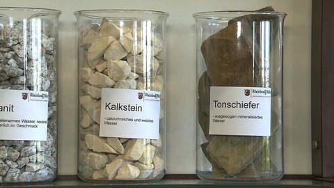 Mineralstoffe in unseren Nahrungsmitteln - Landesschau Rheinland-Pfalz - TV