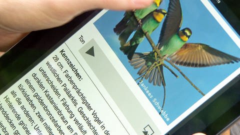 Tablet als Hilfe für Vogelbestimmung (Foto: SWR)