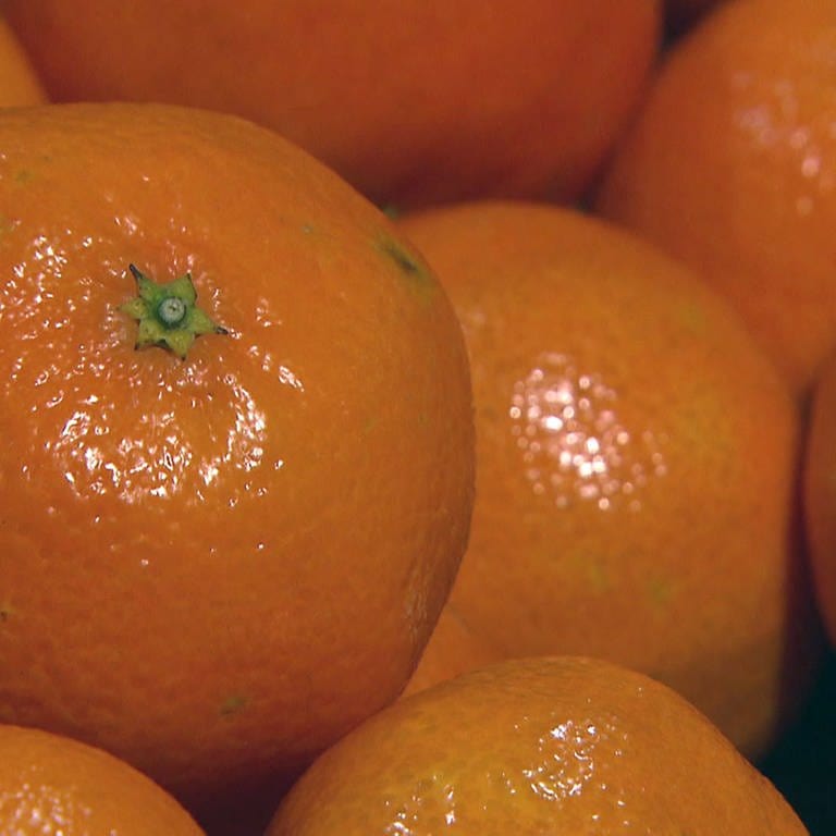 Clementine, Mandarine (Foto: SWR)