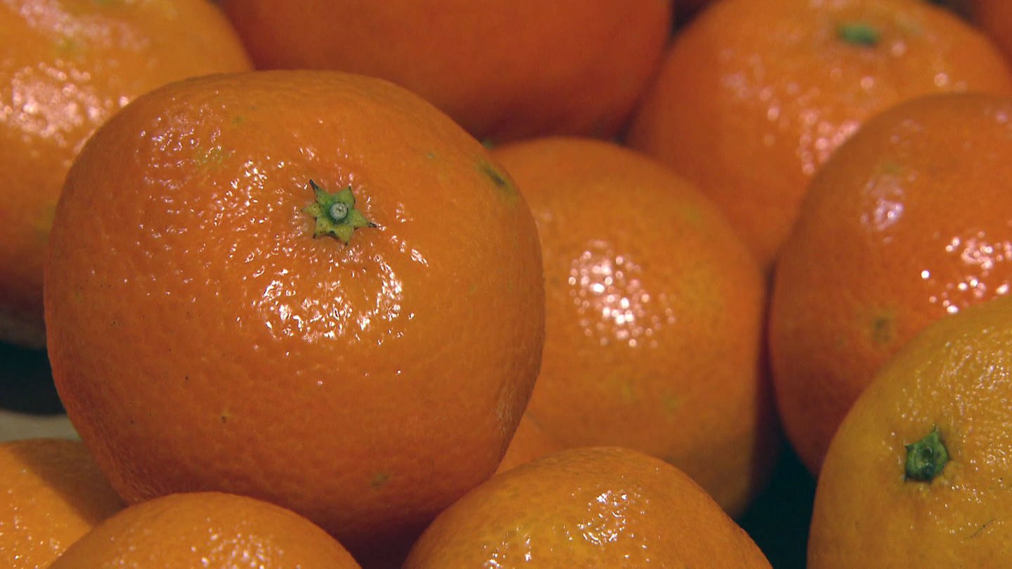 Clementine, Mandarine (Foto: SWR)