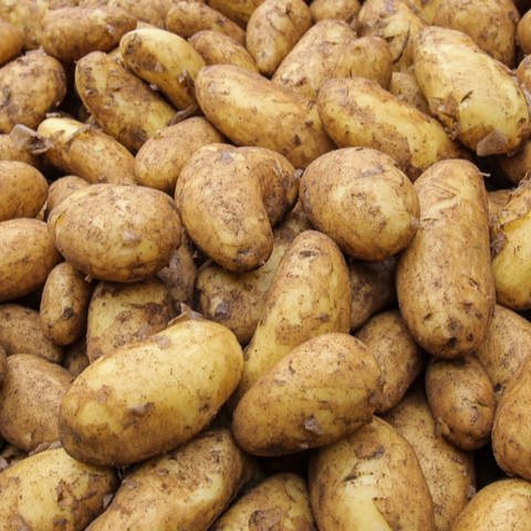 Die Kartoffel - das Ackergold für die Küche (Foto: SWR, SWR)