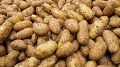 Die Kartoffel - das Ackergold für die Küche (Foto: SWR, SWR)