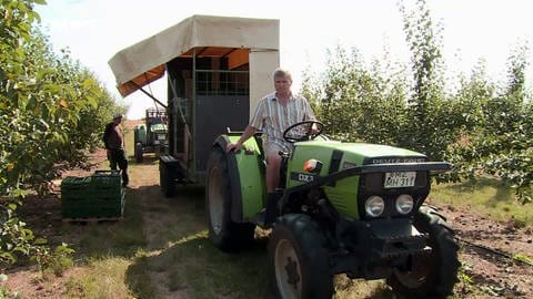 Markus Hochhaus auf seinem Traktor in einer Obstplantage in Mainz-Finthen (Foto: SWR)