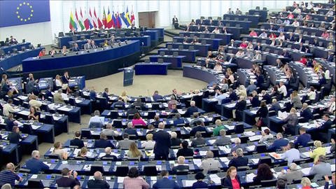 Europaparlament: Abgeordnete im Plenum (Foto: SWR)