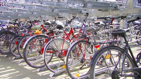 Fahrräder an einem Sammelpunkt, wie etwa Bahnhof oder Uni (Foto: SWR)
