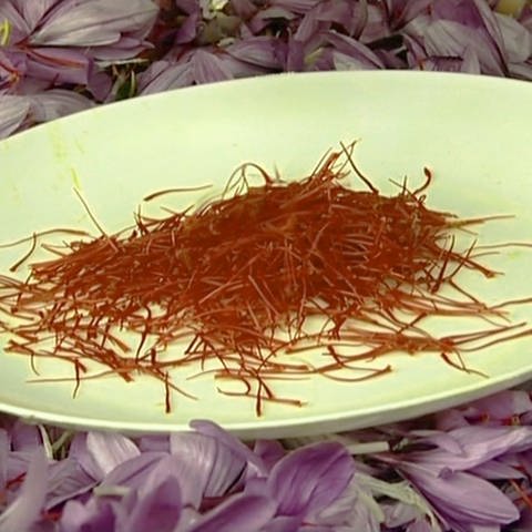 Safran auf einem Teller inmitten von Safran-Krokusblüten (Foto: SWR)