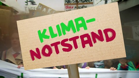 Demo, Plakate, Aufschrift "Klimanotstand" (Foto: SWR)