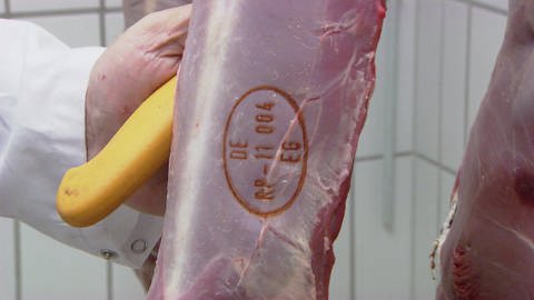 Stempel auf einem Strang Hirsch-Filet bestätigt die amtsärztliche Kontrolle. (Foto: SWR)