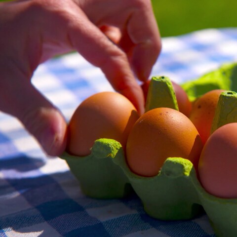 Frische - beim Ei das oberste Gebot (Foto: SWR)