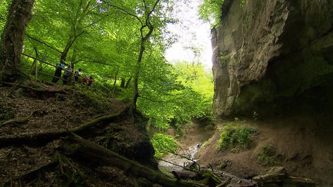 Die Wanderchecker sind unterwegs auf dem "Höhlen- und Schluchtensteig".  (Foto: SWR)