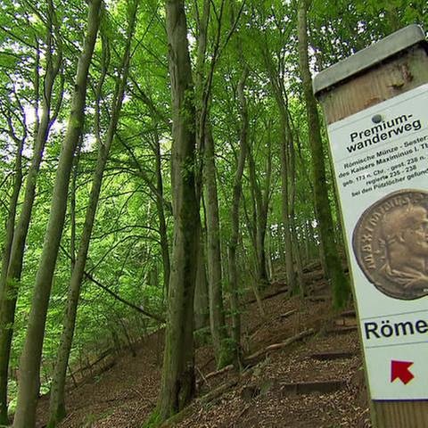 Die Markierung des Weges ist eine römische Münze. (Foto: SWR, SWR -)