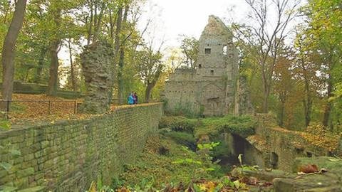 Ruine Disibodenberg (Foto: SWR, SWR -)