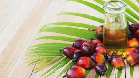 Palmöl steckt in vielen Lebensmitteln. (Foto: SWR)