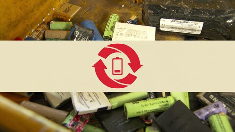 Sammelstellen für Batterien und Kleinakkus werden nach den neuen Regelungen nun mit diesem Symbol ausgezeichnet (Foto: SWR)