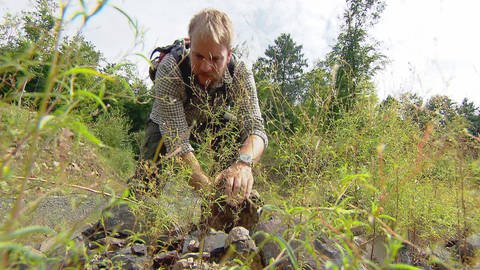 Biologe Philipp Schiefenhövel von der Will-und-Lieselott Masgeik-Stiftung in Molsberg im Westerwald dreht in einem Steinbruch Steine um, unter denen Schlangen zu finden sind. (Foto: SWR)
