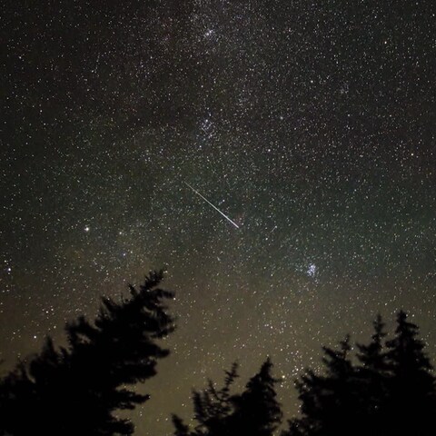 Wünsch´Dir was! Die Perseiden lassen im Spätsommer den Nachthimmel erstrahlen. (Foto: SWR)