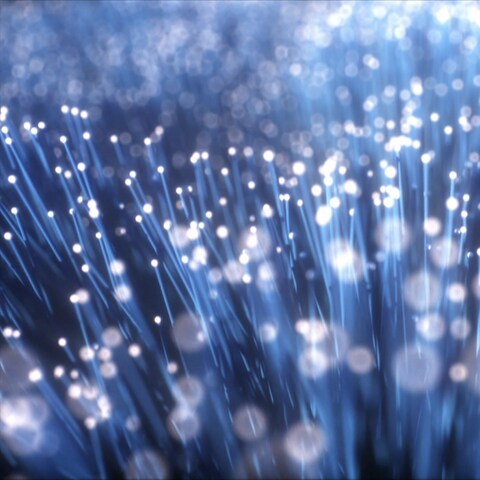 Schnelles Netz mit Glasfaser (Foto: SWR)