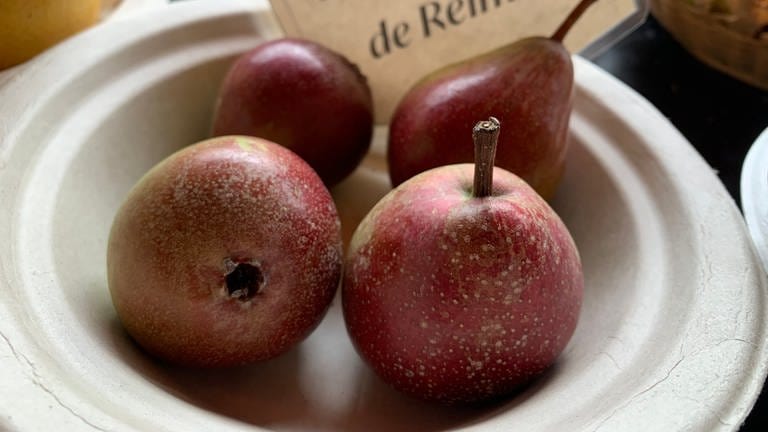 Rousselet de Reims: Die kleine kegelförmige Birne schmeckt nach Marzipan. Sie wurde in Frankreich bereits im 17. Jahrhundert beschrieben. In der Vergangenheit wegen ihres süßen Fruchtfleisches auch "Zuckerbirne" genannt. (Foto: SWR)