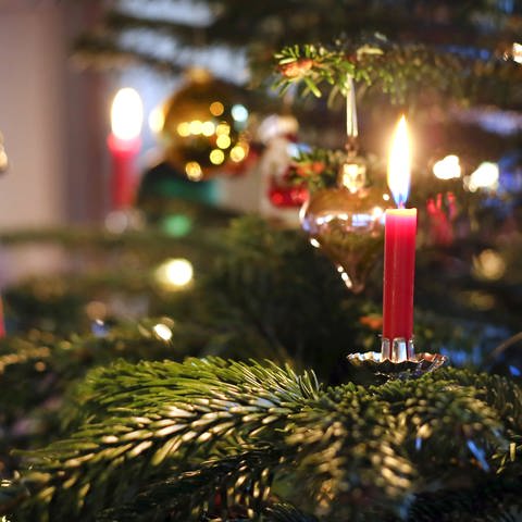 Weihnachtsbaum mit brennender Kerze (Foto: dpa Bildfunk, picture alliance/dpa | Karl-Josef Hildenbrand)