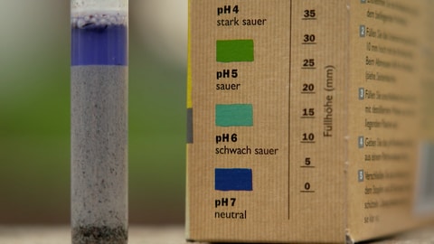 Der pH-Wert eines Bodens ist entscheidend für das Pflanzenwachstum (Foto: SWR)