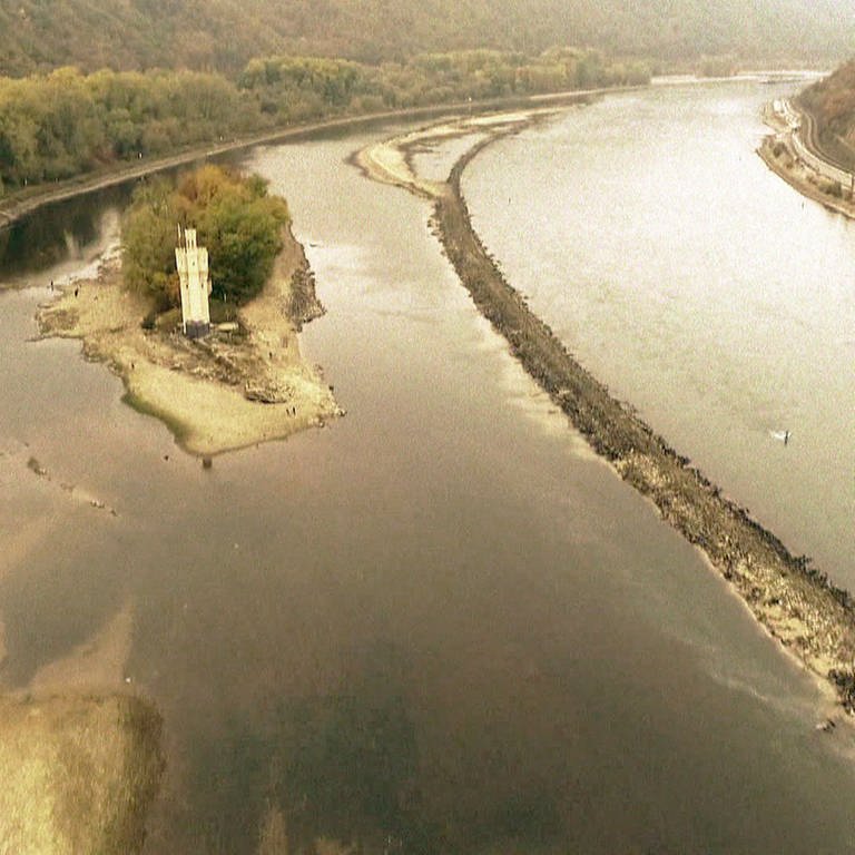 Niedrigwasser im Rhein bei Bingen (Foto: SWR)