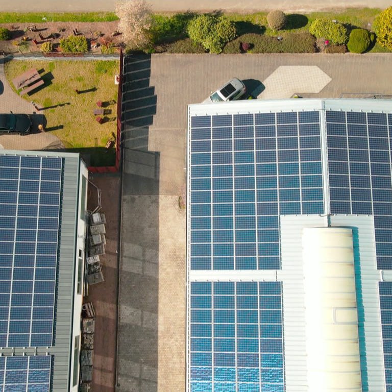 Solaranlagen auf zwei Nutzgebäuden aus der Drohnenperspektive gesehen (Foto: SWR)