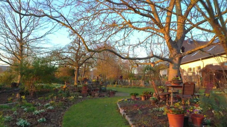 Garten von Anne Rahn in der März-Abendsonne (Foto: SWR)