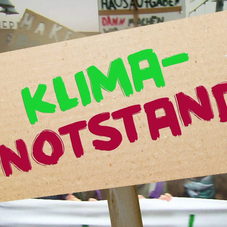 Demo, Plakate, Aufschrift "Klimanotstand" (Foto: SWR)