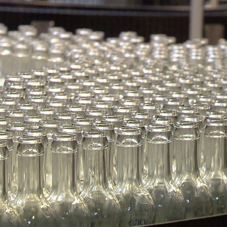 Glaschflaschen in einer Abfüllanlage (Foto: SWR)
