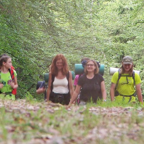 Wandergruppe im Wald (Foto: SWR)