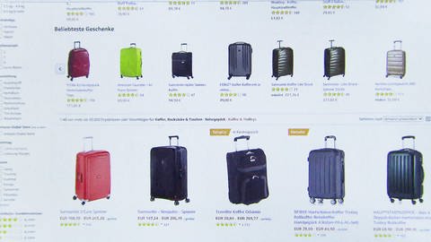 Webseite mit Preisvergleichen von Reisekoffern (Foto: SWR)