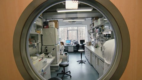 Blick durch "Bullauge" in einer Tür ins Innere eines medizinischen Labors (Foto: SWR)