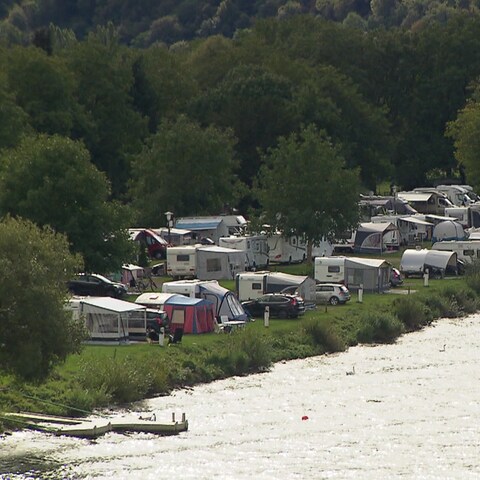 Rheinland-Pfalz hat in Sachen Camping einiges zu bieten. Gerade in der Moselregion liegen viele Stellplätze direkt am Wasser.  (Foto: SWR)
