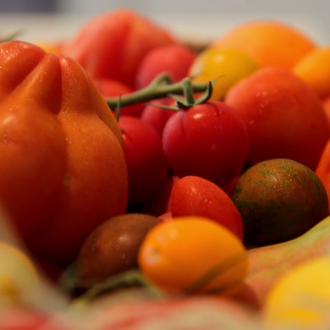 Ob rot, grün oder gelb: Tomaten gibt es in vielen Farben und Formen (Foto: SWR)