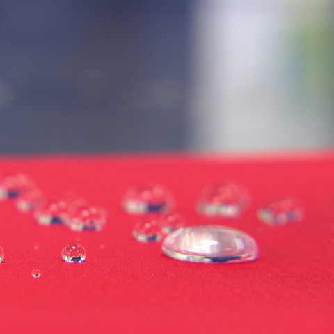 Wassertropfen auf einer Membran (Foto: SWR)