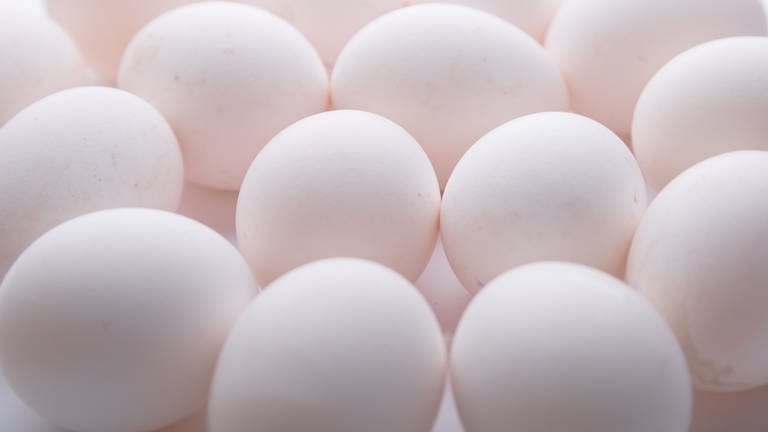 Landesschau Gut zu wissen Eier (Foto: Colourbox)