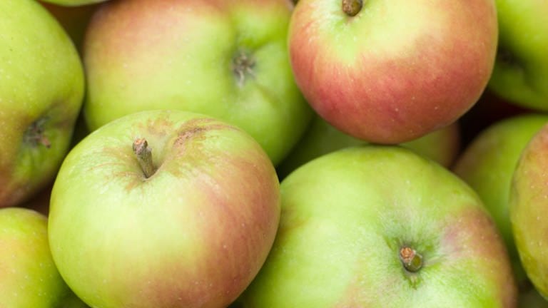 Landesschau Gut zu wissen Äpfel (Foto: Colourbox)
