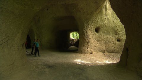 Die Trasshöhlen auf dem Höhlen- und Schluchtensteig (Foto: SWR)
