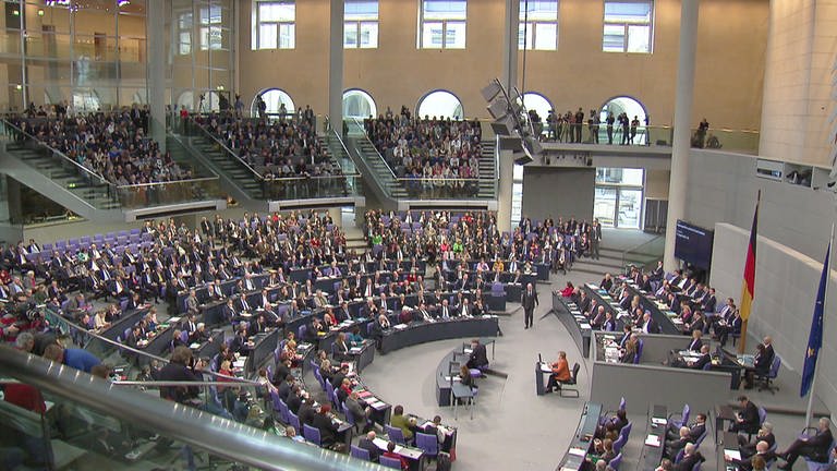 Bundestagssitzung, Blick in den Plenarsaal mit zahreichen Abgeordneten im Plenum (Foto: SWR)
