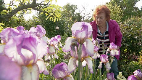Elfriede Lüdke, 82, in ihrem Garten (Foto: SWR)