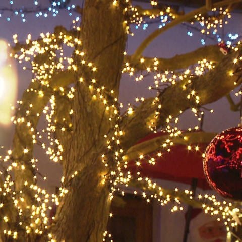Baum im Garten mit Lichterketen geschmückt  (Foto: SWR)