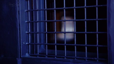Fenstergitter an einer Gefängniszelle (Foto: SWR)