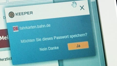 Passwort-Abfrage auf einer Seite der Deutschen Bahn. (Foto: SWR)