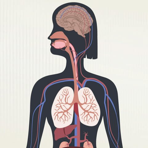 COPD ist eine chronische Lungenerkrankung. (Foto: SWR)