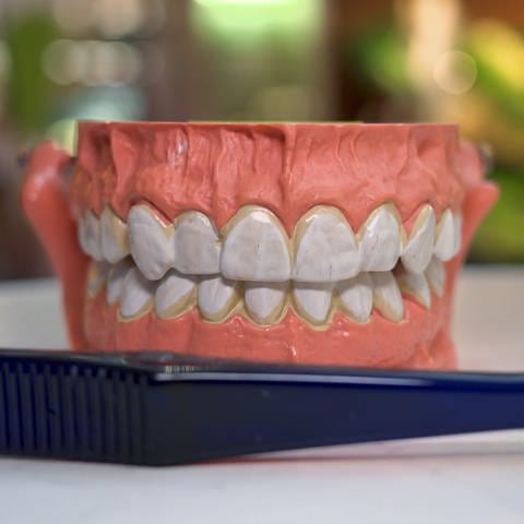 Bereits die Wahl der richtigen Zahnbürste ist wichtig für die Gesundheit des Zahnfleischs. (Foto: SWR)