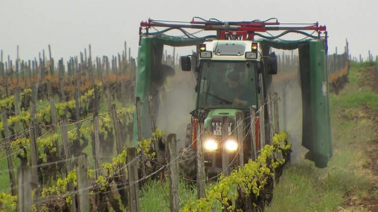 Traktor versprüht Pestizid im Weinbau